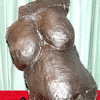 Body Torso